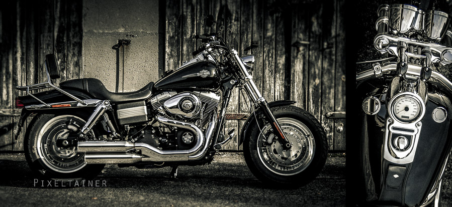 Harley - 2012